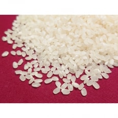 【令和4年産】富山県朝日町産コシヒカリ 精米 8.8kg | ふるさと納税のお礼品