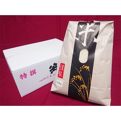 【令和4年産】富山県朝日町産コシヒカリ 精米 8.8kg