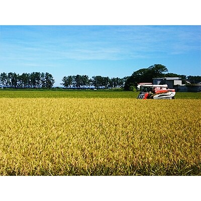 【令和4年産】富山県朝日町産コシヒカリ 玄米 10kg