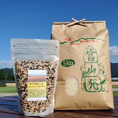 富山県朝日町産コシヒカリ精米5kgと田んぼアート玄米450g詰合せ