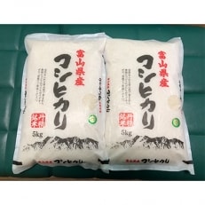 【令和5年産】朝日町こだわりのお米　コシヒカリ精米10kg