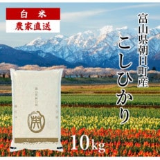 令和5年度産 富山県朝日町産コシヒカリ(精米10kg&times;1)