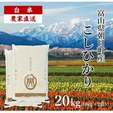 令和5年度産 富山県朝日町産コシヒカリ 20kg(精米10kg&times;2)