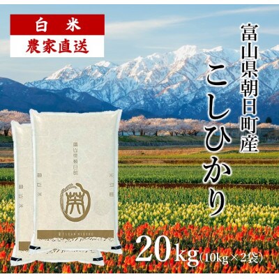 富山県朝日町産コシヒカリ 20kg(精米10kg×2)