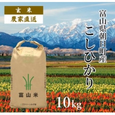 富山県朝日町産コシヒカリ(玄米10kg×1)