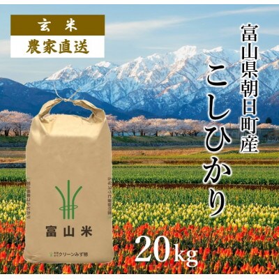 営農ワイエムアイ / 〔令和6年産〕富山県産コシヒカリ 玄米5kg