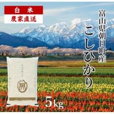 令和5年度産 富山県朝日町産コシヒカリ(精米5kg&times;1)