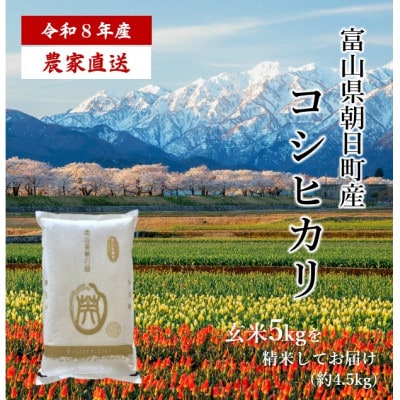 産地直送　令和8年産コシヒカリ　精米4.5kg