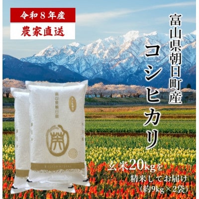 産地直送　令和8年産コシヒカリ　精米9㎏×2袋