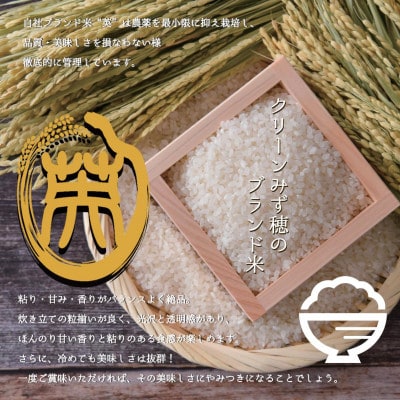 産地直送　令和8年産コシヒカリ　富山県朝日町産　玄米10kg