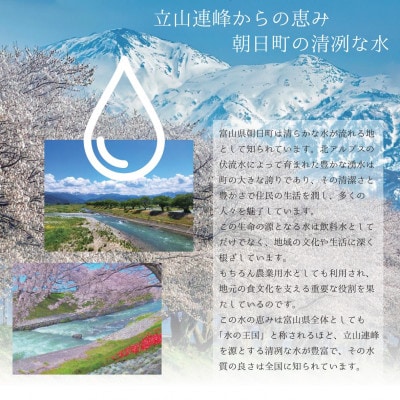 産地直送　令和8年産コシヒカリ　富山県朝日町産　玄米10kg