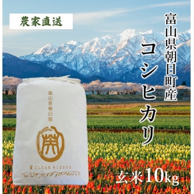 【毎月定期便】産地直送　コシヒカリ　富山県朝日町産　玄米10kg全3回