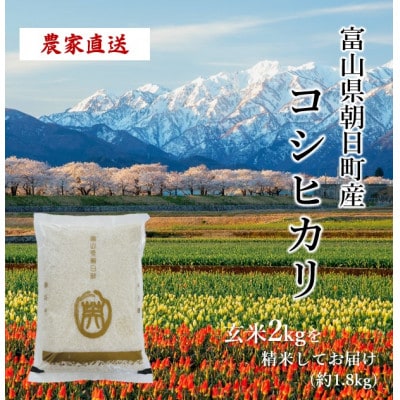 【毎月定期便】産地直送　コシヒカリ　富山県朝日町産　精米1.8kg全3回