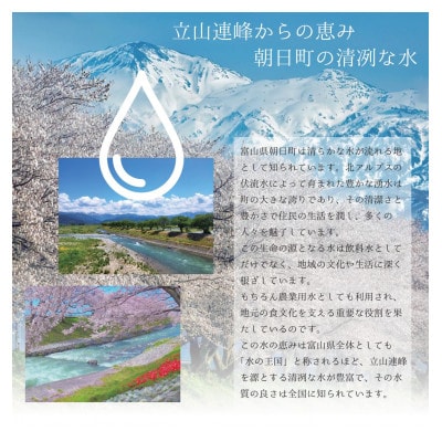 【毎月定期便】産地直送　コシヒカリ　富山県朝日町産　精米1.8kg全6回