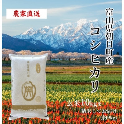 【毎月定期便】産地直送　コシヒカリ　富山県朝日町産　精米9kg全3回