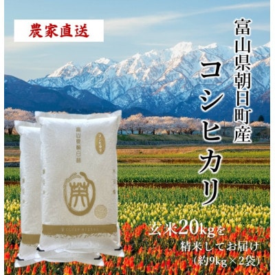 【毎月定期便】産地直送　コシヒカリ　富山県朝日町産　精米9kg×2袋全6回