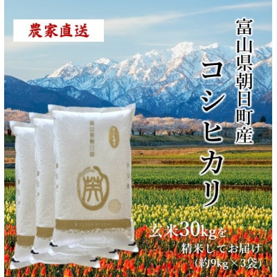 【毎月定期便】産地直送　コシヒカリ　富山県朝日町産　精米9kg×3袋全6回