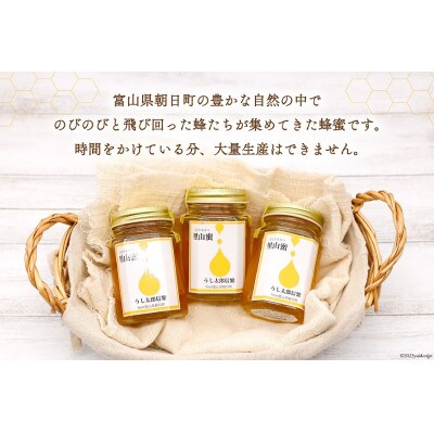 里山蜜　2本