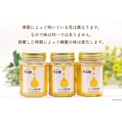 里山蜜　2本