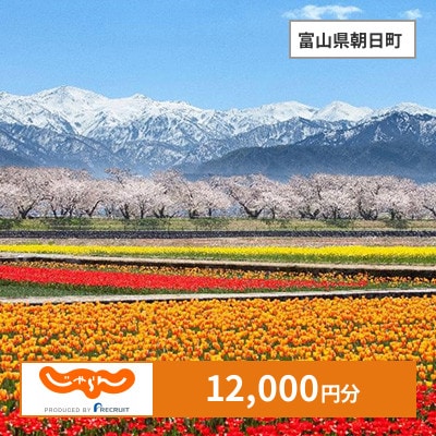 【じゃらんふるさと納税クーポン】 富山県朝日町でつかえる12,000円 クーポン