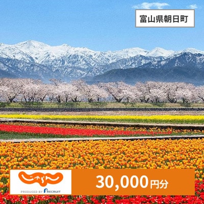 【じゃらんふるさと納税クーポン】 富山県朝日町でつかえる30,000円 クーポン