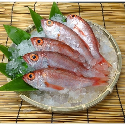 日本海産ノドグロ 5尾