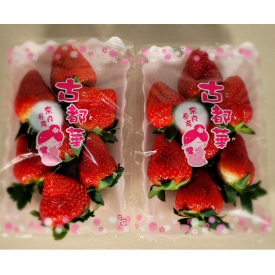 奈良のいちご「古都華」/2箱(4パック)/化粧箱入り/朝採り当日出荷/糖度16以上