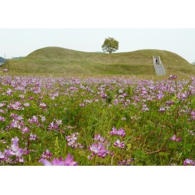 ふるさと『山城　高取城下山麓のお米』/精米(5kg×1個)