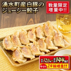 【数量限定!増量中】鹿児島県湧水町産白豚のジューシー餃子 144個(12個入り×12パック)タレ付