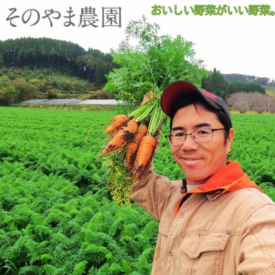 【数量限定】【訳アリ】そのやま農園　湧水町産有機にんじん10kg