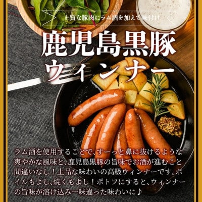 《業務用・訳あり》 鹿児島県産 黒豚 荒挽き ウィンナー ソーセージ 計1.8kg 【ナンチク】