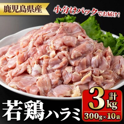 鹿児島県産 若鶏ハラミ (300g×10袋・合計3kg) 小分け 真空パック(y538)(湧水町)