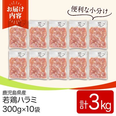 鹿児島県産 若鶏ハラミ (300g×10袋・合計3kg) 小分け 真空パック(y538)(湧水町)