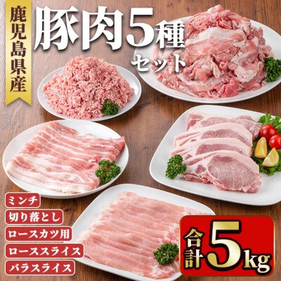 鹿児島県産豚肉セット(5種・合計5kg) y557(湧水町)