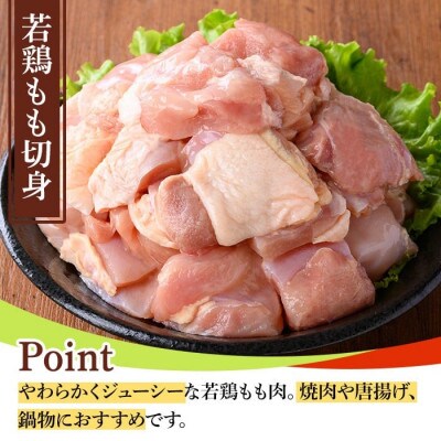 鹿児島県産若鶏焼肉セット(6種・合計4.2kg) y548(湧水町)