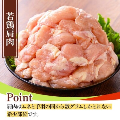 鹿児島県産若鶏焼肉セット(6種・合計4.2kg) y548(湧水町)