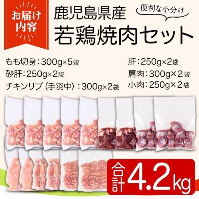 鹿児島県産若鶏焼肉セット(6種・合計4.2kg) y548(湧水町)