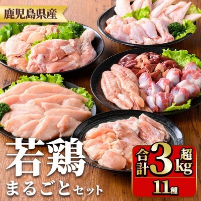 鹿児島県産若鶏まるごとセット(合計3.05kg)　y539(湧水町)