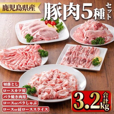 鹿児島県産豚肉セット(5種・合計3.2kg) y554(湧水町)