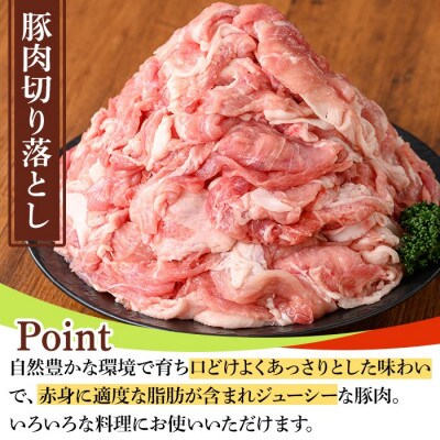 鹿児島県産豚肉・鶏肉セット(計3kg) y551(湧水町)