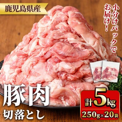 鹿児島県産豚肉切落としセット(計5kg) y561(湧水町)