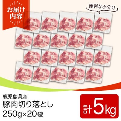 鹿児島県産豚肉切落としセット(計5kg) y561(湧水町)