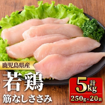 鹿児島県産若鶏筋なしささみ(計5kg・250g×20袋)  y534(湧水町)