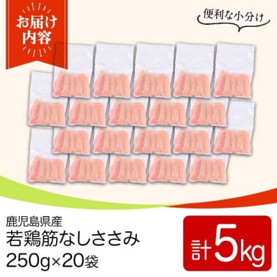 鹿児島県産若鶏筋なしささみ(計5kg・250g×20袋)  y534(湧水町)