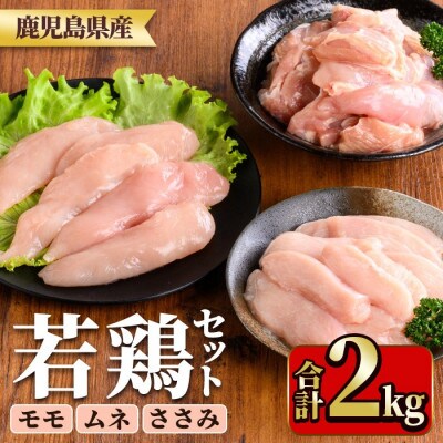 鹿児島県産若鶏セット(合計2kg・もも、むね、ささみ) y536(湧水町)