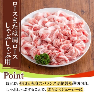 鹿児島県産豚肉セット(4種・合計3.8kg) y555(湧水町)