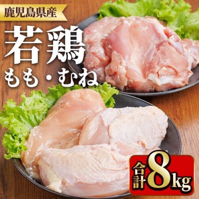 鹿児島県産若鶏もも身・むね身セット(もも、むね) 合計8kg(y542)(湧水町)