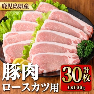 鹿児島県産豚肉ロースとんかつ用(100g×30枚)　y532(湧水町)
