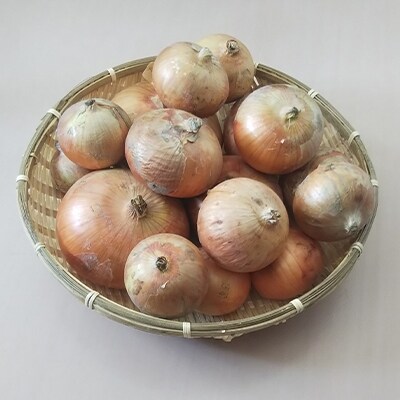 ●泉州産玉ねぎ(M～2L混)　約4kg