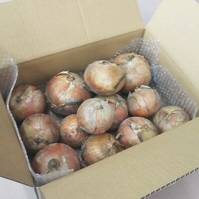 ●泉州産玉ねぎ(M～2L混)　約4kg